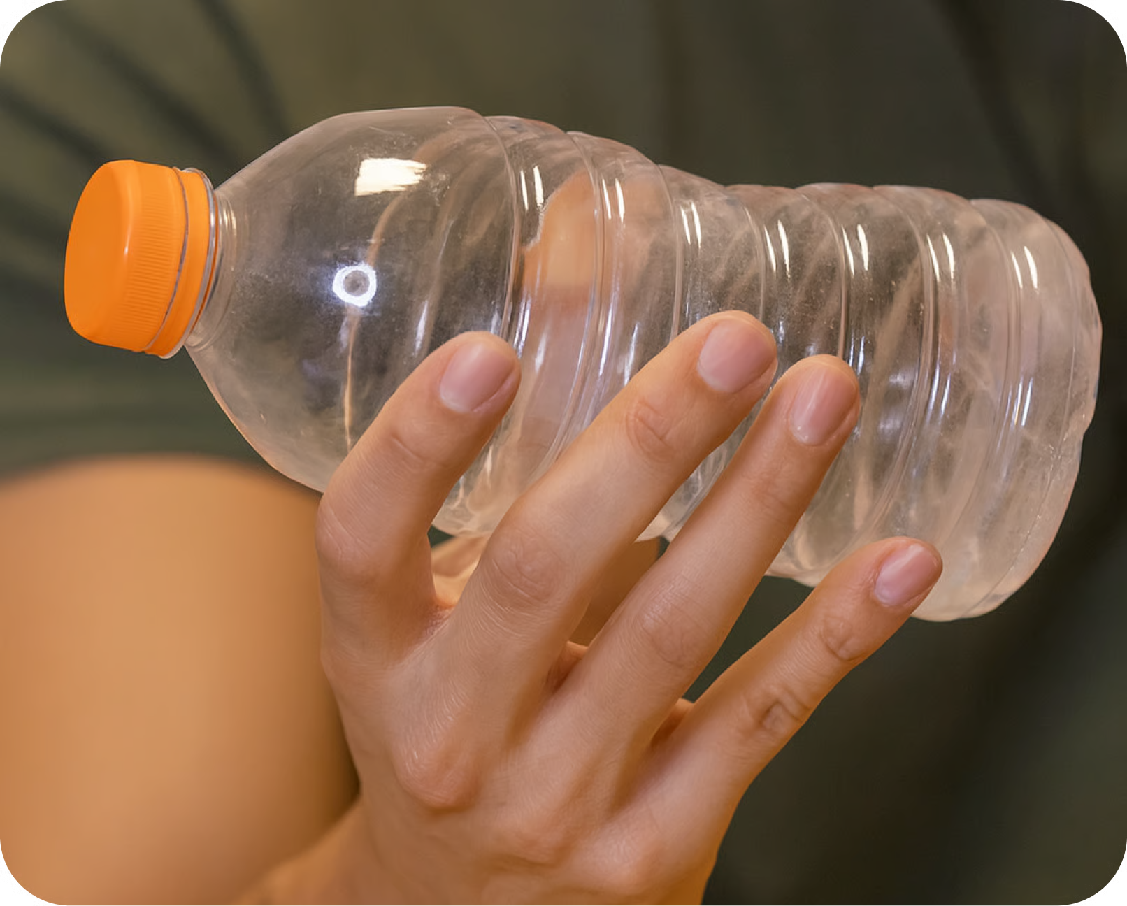 Muscles with creatine