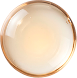 Prebiotic fiber ingredient